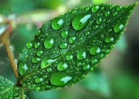 Agri-Service sprl respecte son environnement...